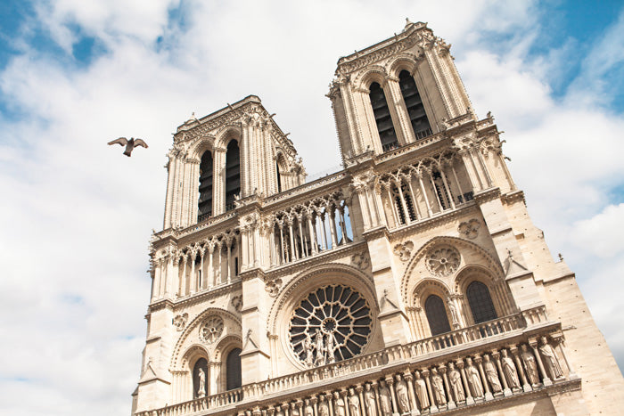 Where ONA Goes: Paris and Versailles with Anna