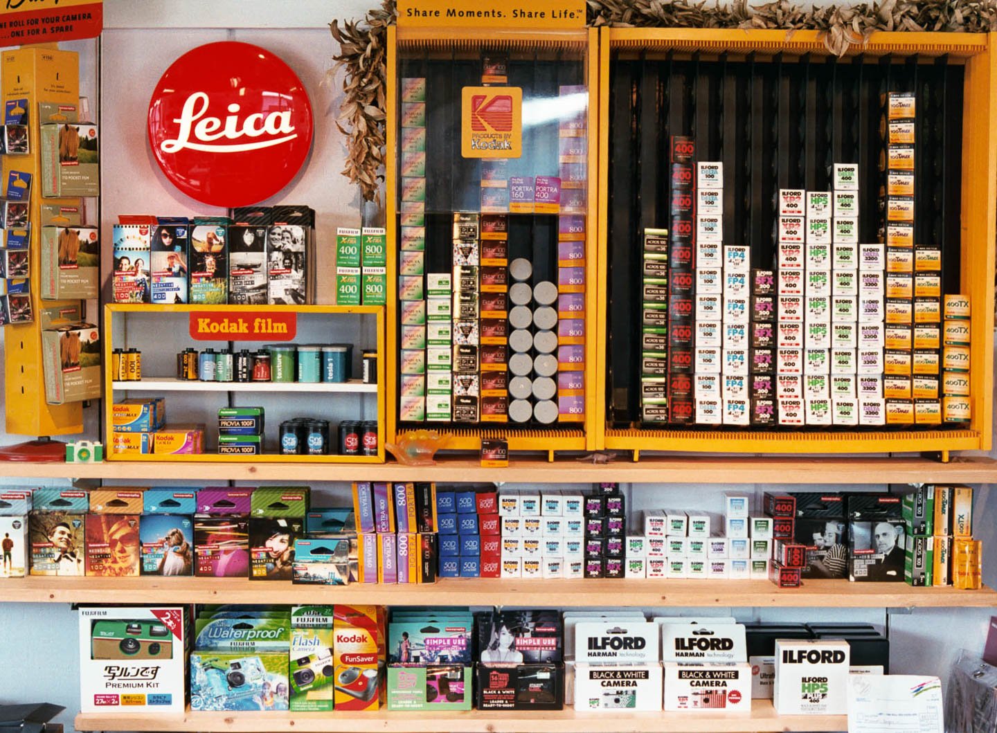 Small Business Profile: Treehouse, Honolulu
