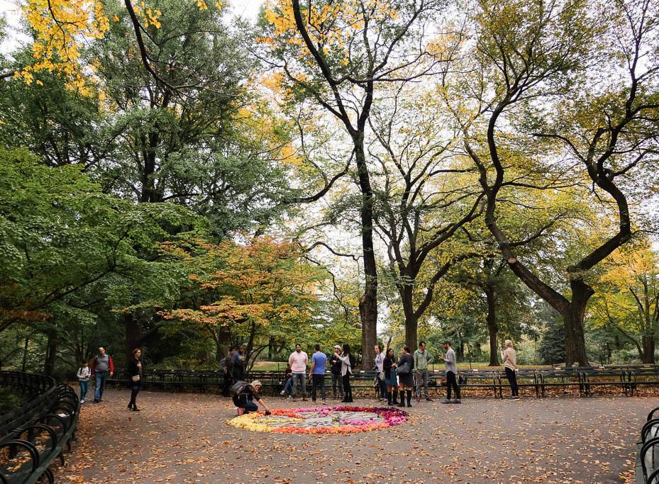 The First Fall Colors: Our Central Park Photo Walk with Mat Rick & Moment
